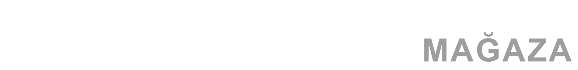 cevv front page left corner logo 2